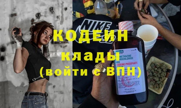прущая мука Дмитриев