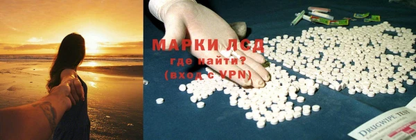 ALPHA PVP Гусев